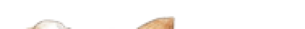 gemini generated image 8i73l68i73l68i73 removebg preview